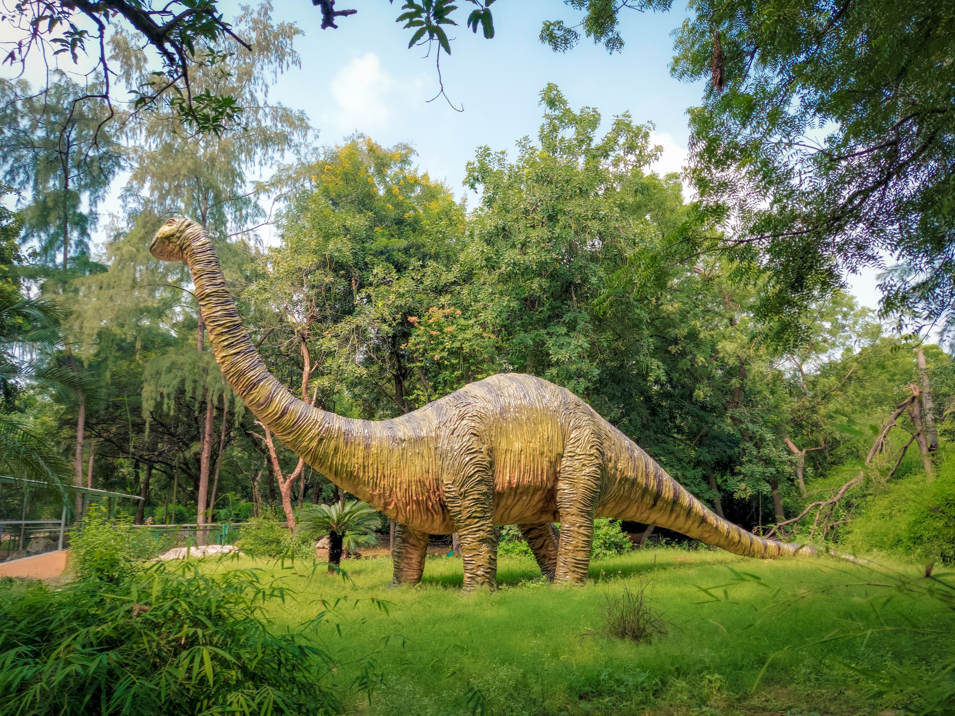 תגלית נדירה בארה"ב: רגל דינוזאור עטופה בעור שלם