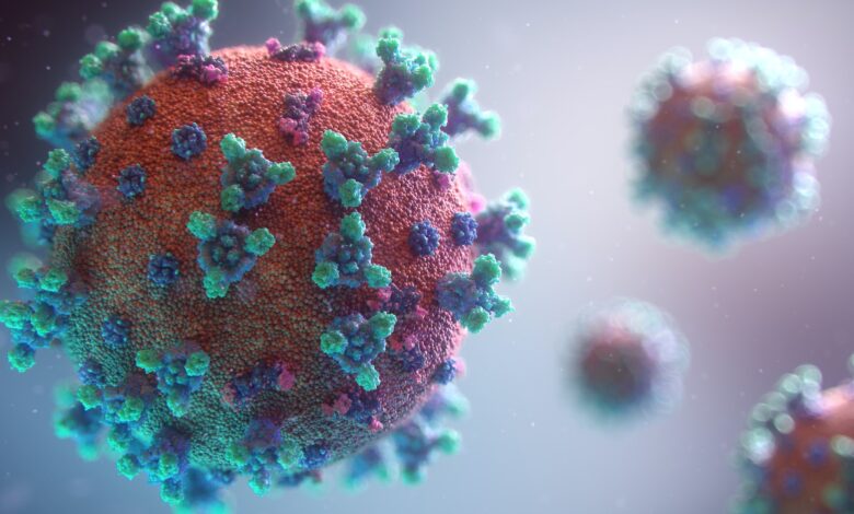 הווירוס המשולב שמאיים לבוא בחורף - שפעת ו-RSV
