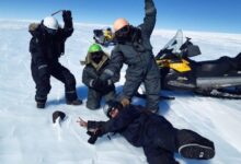 נשלח למעבדה: מטאוריט גדול ומסתורי התגלה באנטארקטיקה