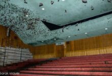 הפינוי מקולנוע בתל אביב - מה עושים עם 2,000 עטלפים?