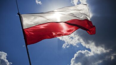 בת 14 הלוקה בשכלה נאנסה - השלטונות בפולין מסרבים להפלה