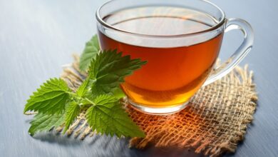 לא רק טעים וחמים: היתרון הבריאותי של תה וחליטות צמחים