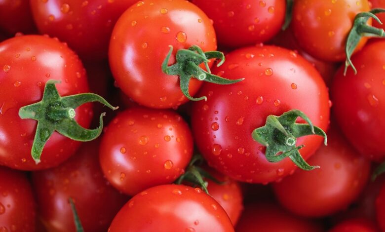 הייצוא מטורקיה מתייקר: מחירי העגבניות בארץ צפויים לעלות